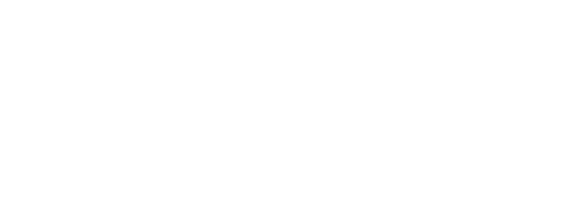 The Trainspotters